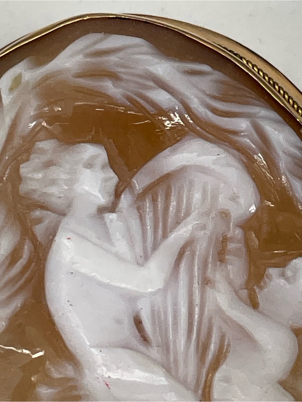 Carved Shell Cameo Brooch in White and Warm Brown with Gold Frame - Picture 9 of 13